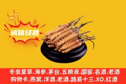 南阳回收冬虫夏草